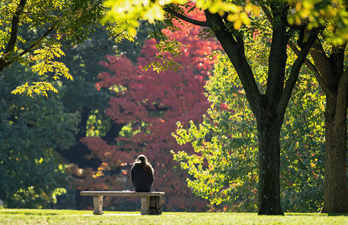 Student sitting on a bench