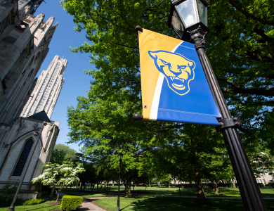 Pitt flag